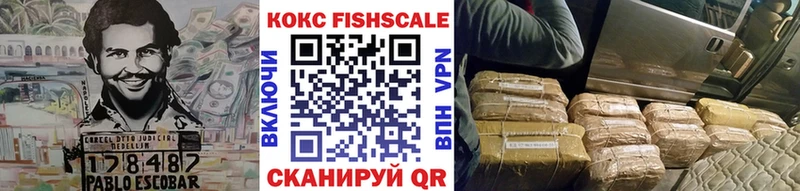 где купить наркотик  Кадников  Кокаин FishScale 