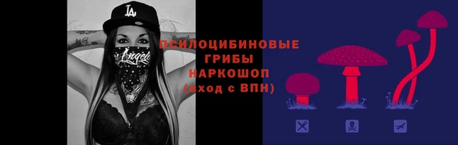каннабис Новозыбков