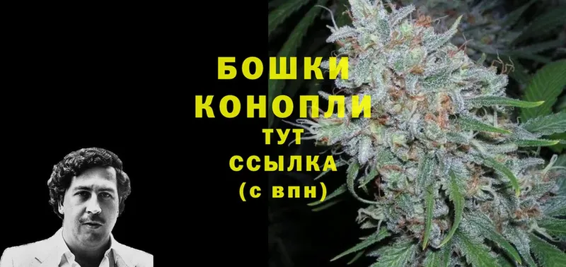 Бошки Шишки LSD WEED  Кадников 